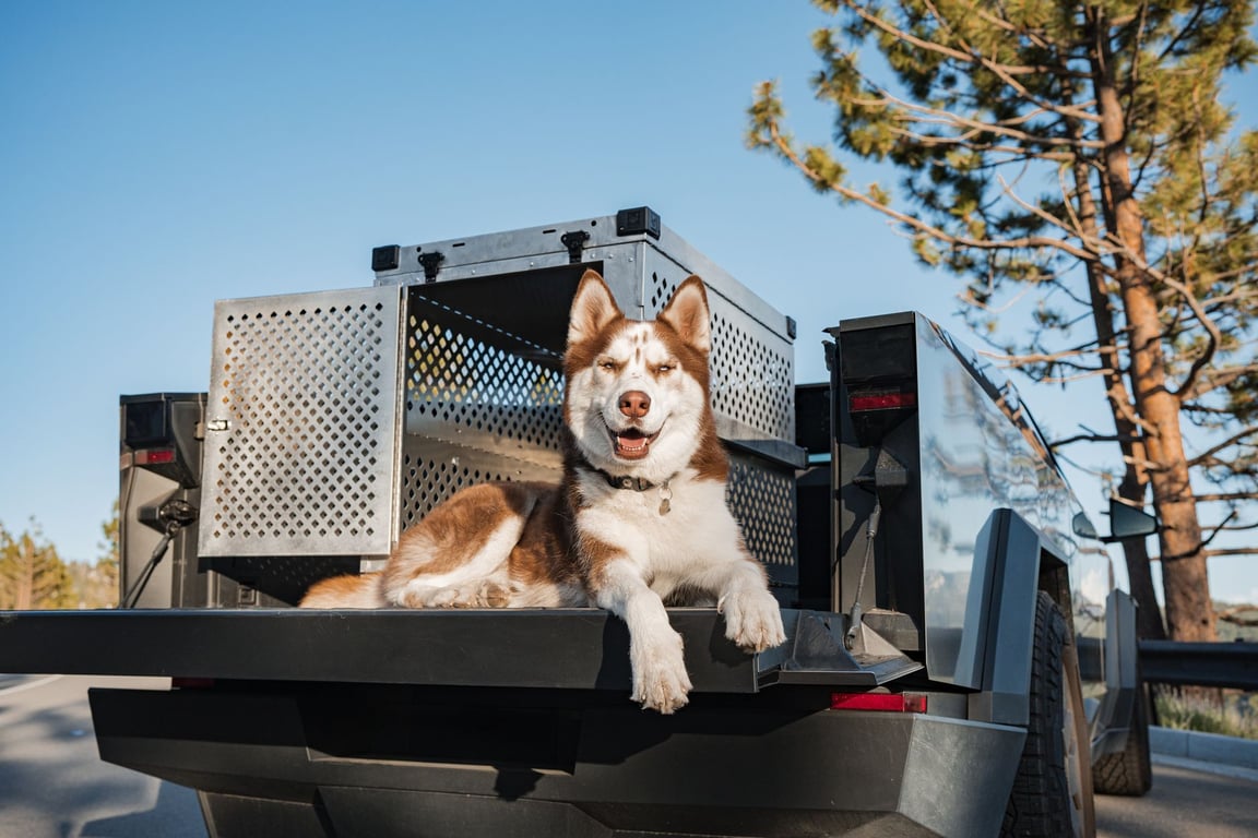 Heavy Duty Truck Cap Buying Guide: Secure, Durable Storage for Work Trucks