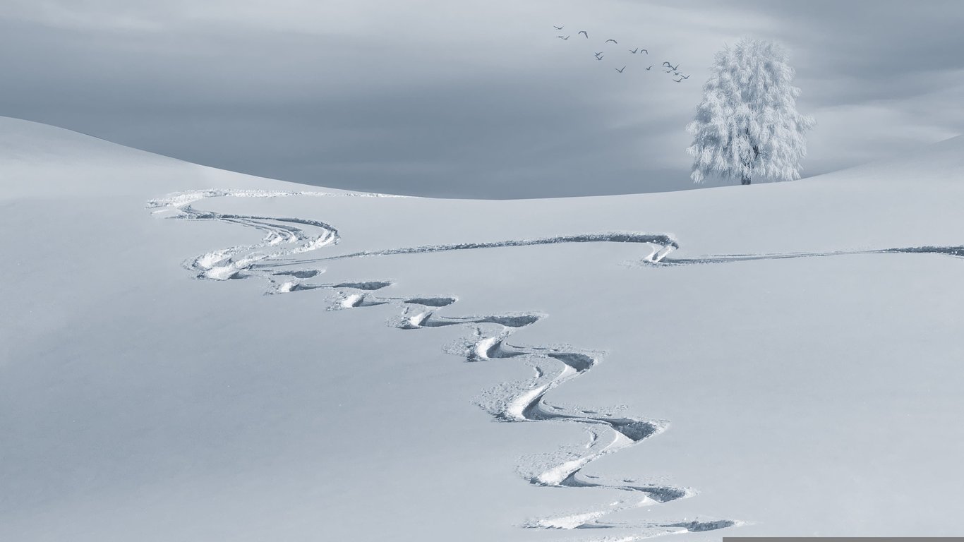backcountry campsite