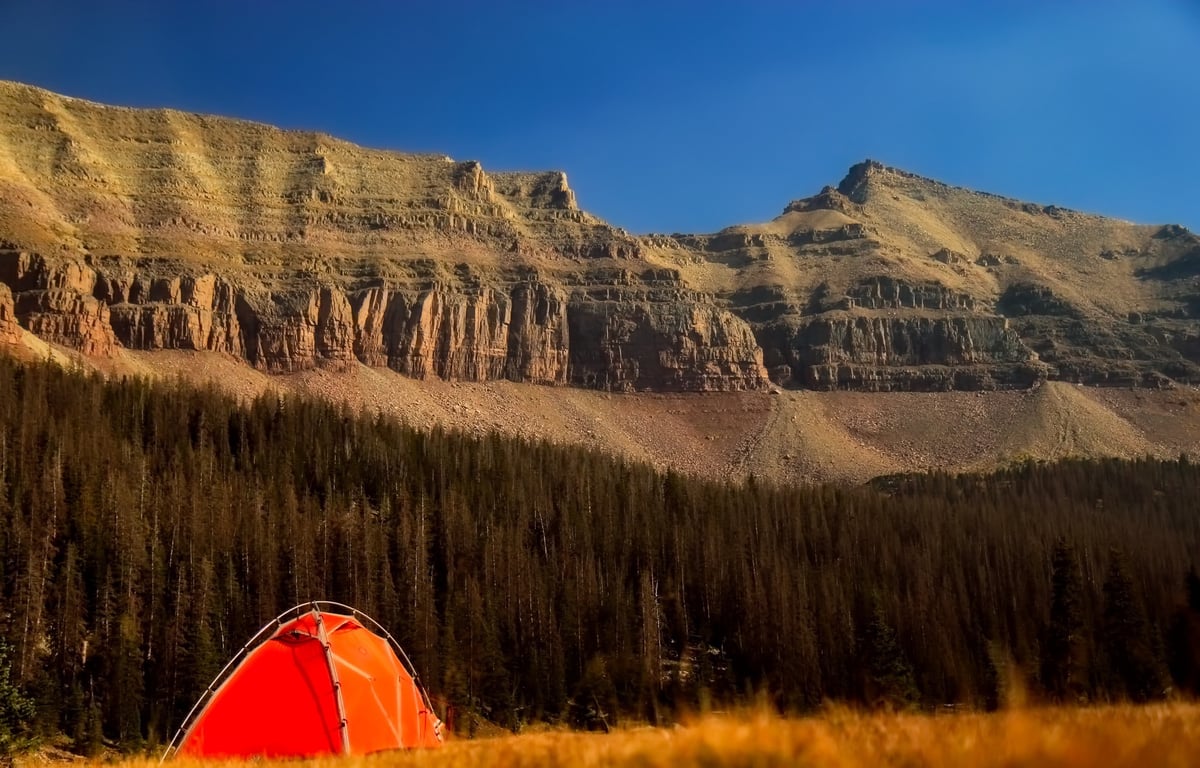 festival campsite tents