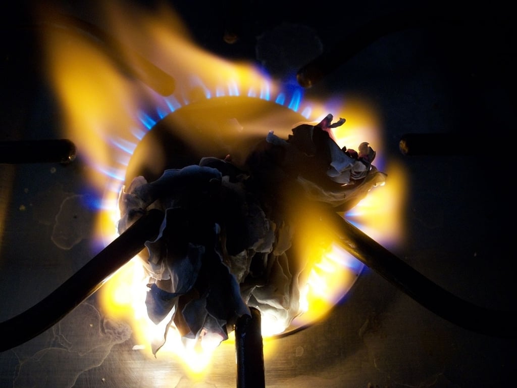 Coleman two-burner propane camp stove