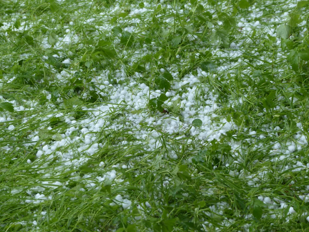 hail damaged roof