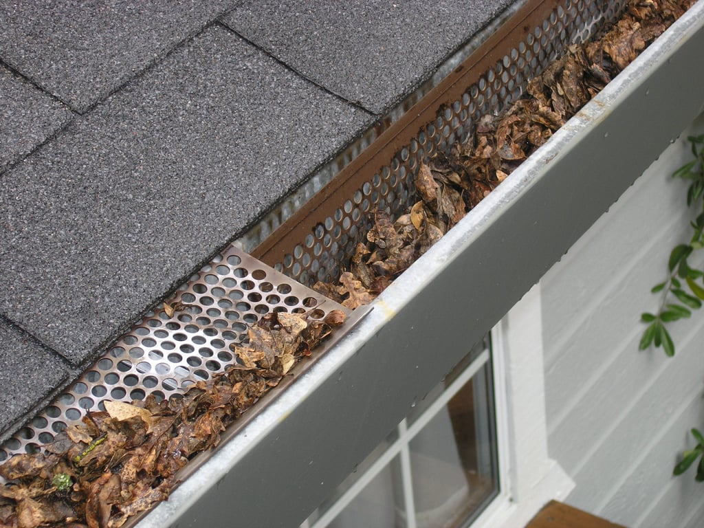 flat roof drainage