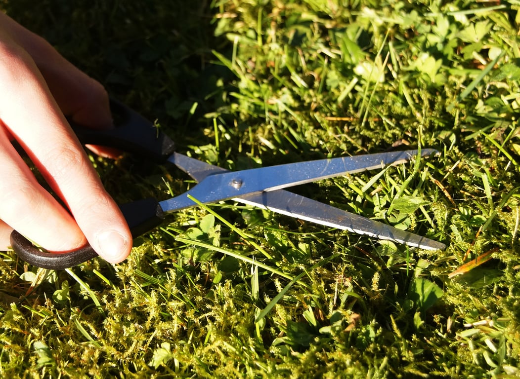 gardener mowing lawn