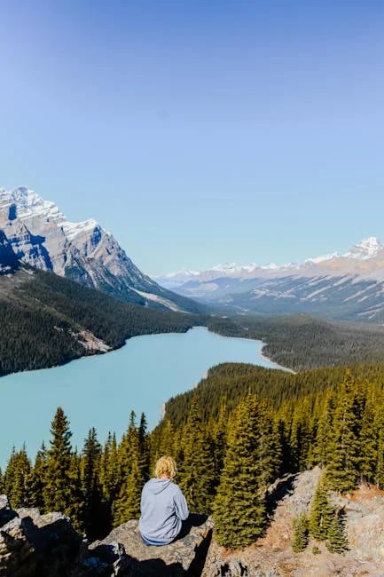 Image describing Top 10 Best Canadian Universities to Attend in 2025!