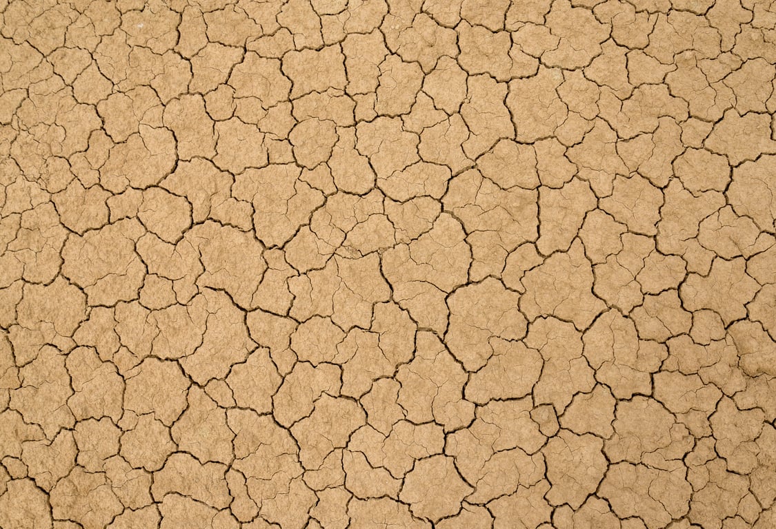 house foundation cracks