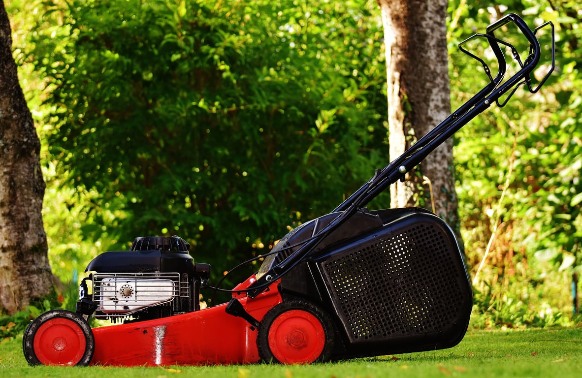 lawn mowing service