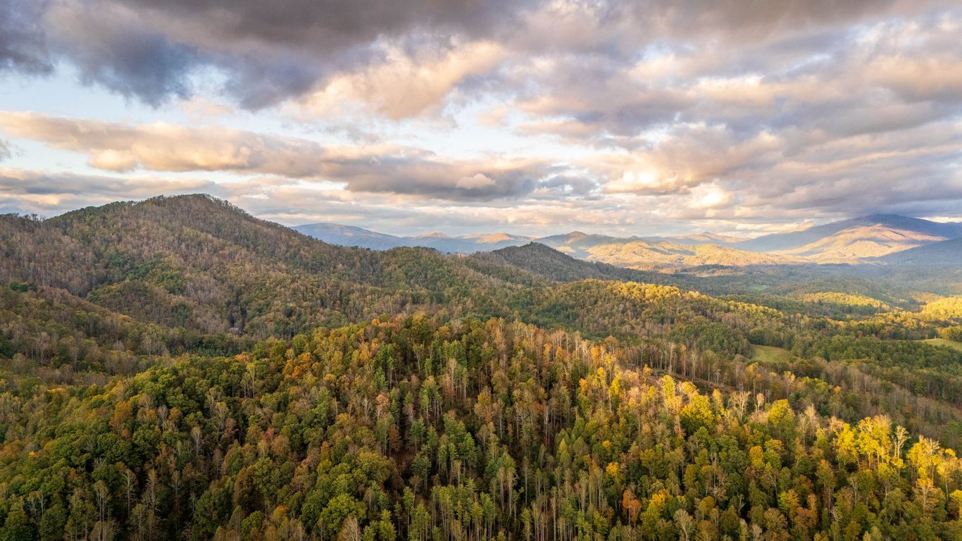 Under Canvas Great Smoky Mountains: What to Know Before You Book a Glamping Stay