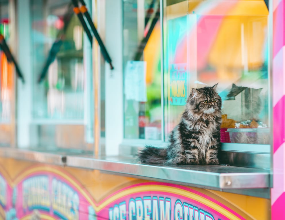 food trailer festival