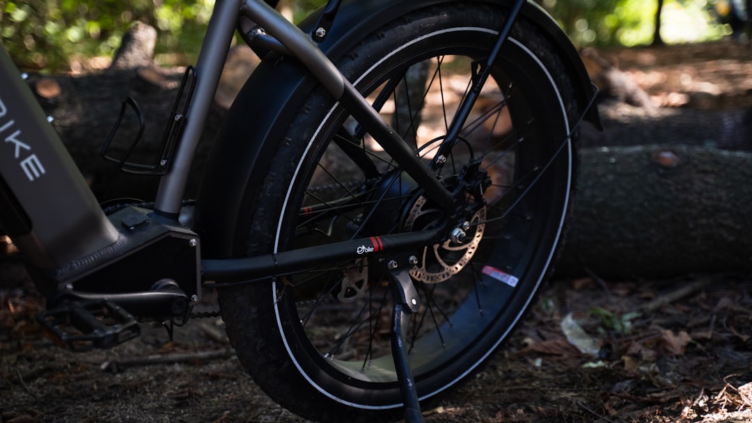 All-Season vs. Touring Tires: The Real Difference in Ride, Tread Life, and Year-Round Use
