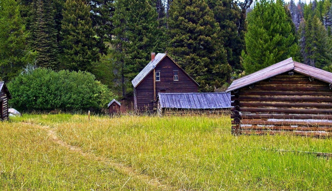 rustic cabin in woods
