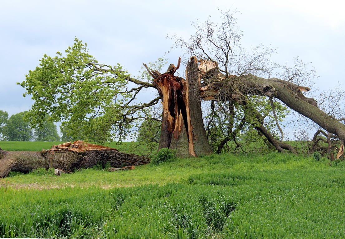 storm damaged roof