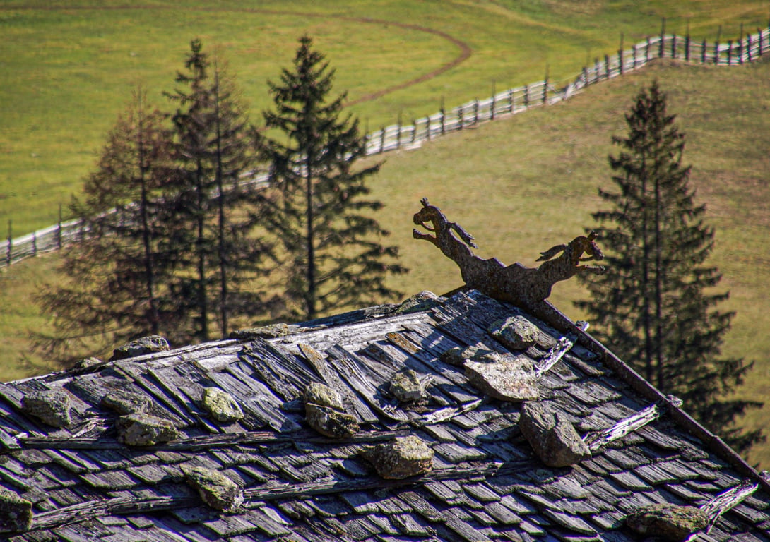 roofing contractor inspecting shingles