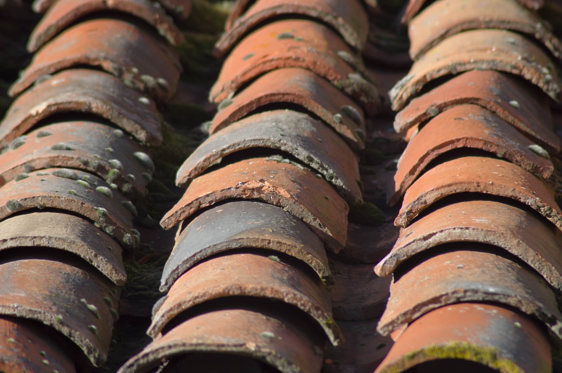 roofer inspecting roof