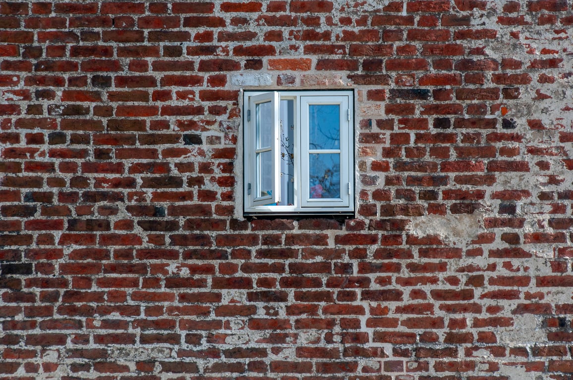 rat exclusion home exterior