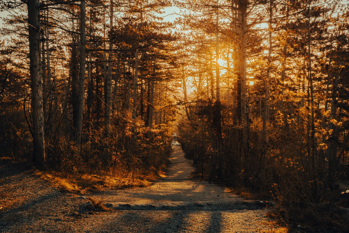 beginner-friendly hiking trail