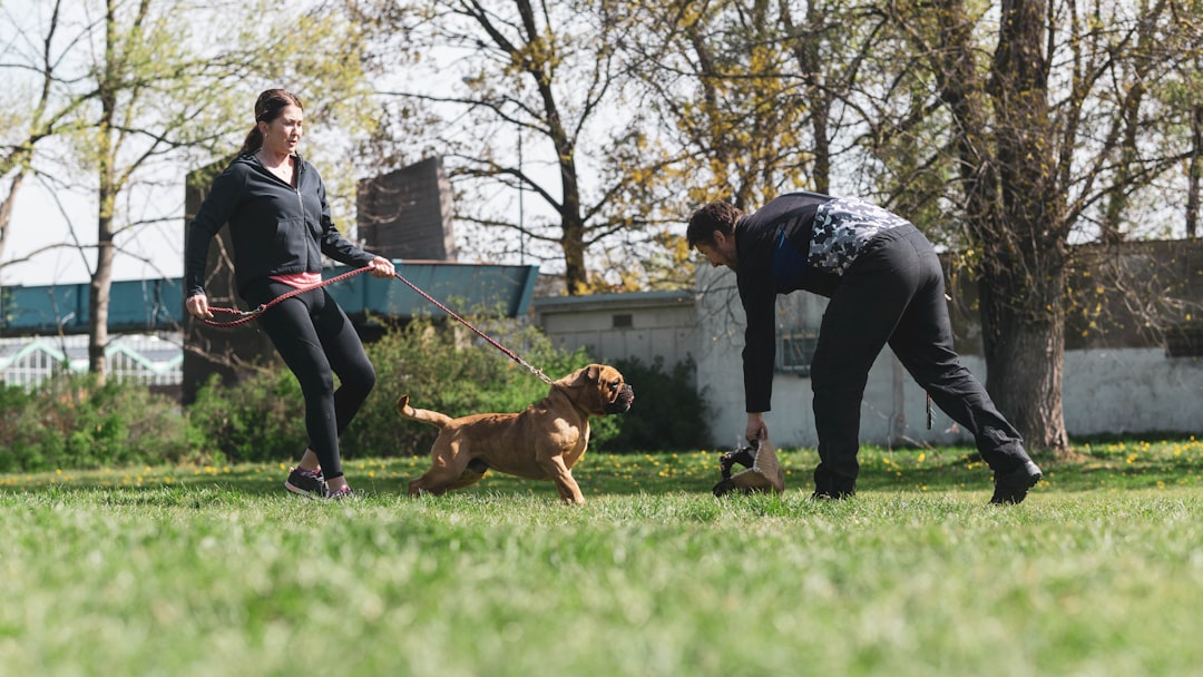 Aggressive Dog Training Near Me: How to Choose a Qualified Behavior Professional