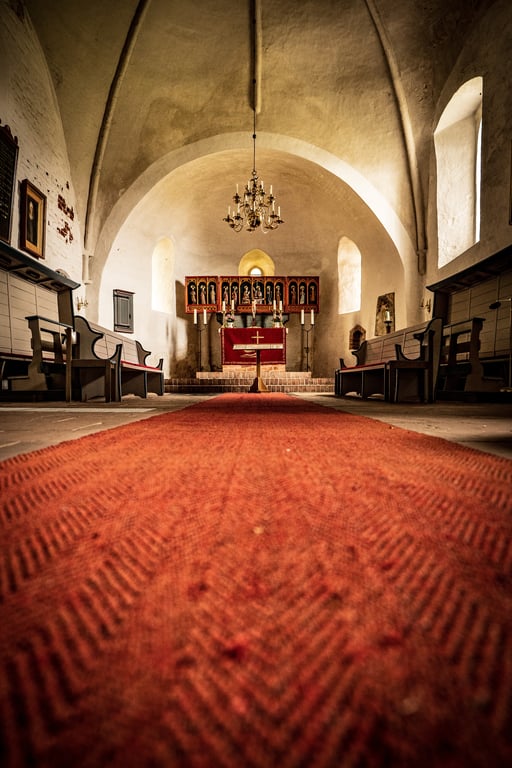 carpet cleaning technician