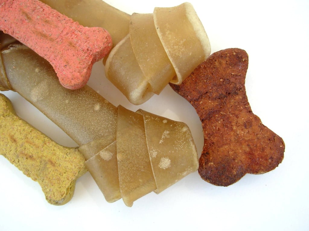 dog chewing treat