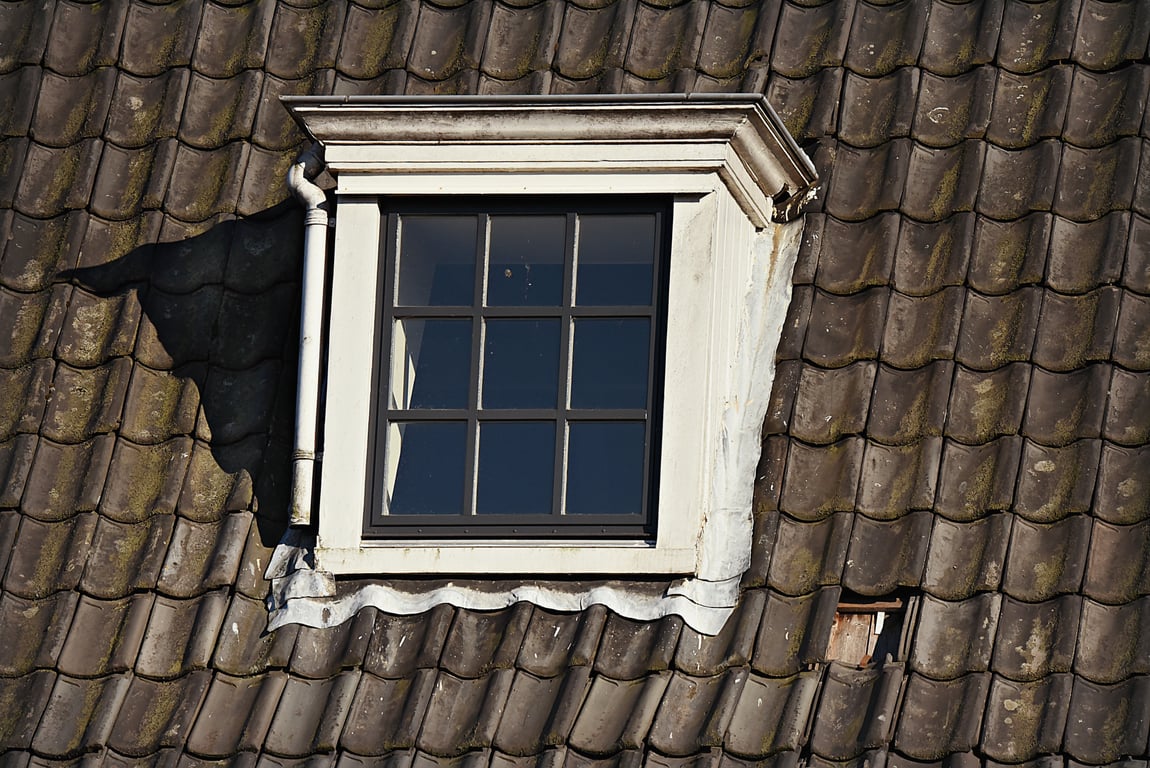 roof replacement shingles