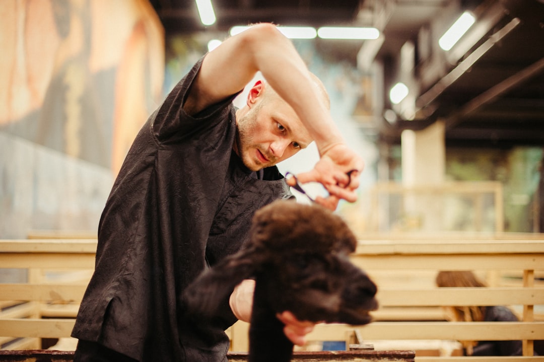Dog Grooming Courses: How to Choose Training That Builds Safe, Practical Skills