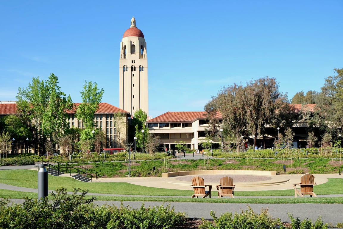 Stanford University palm trees