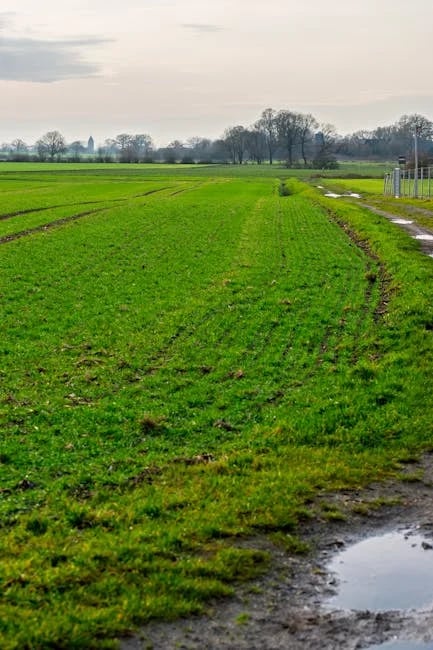 Image describing How to Play Empire Earth on Android Top Tips for 2025!