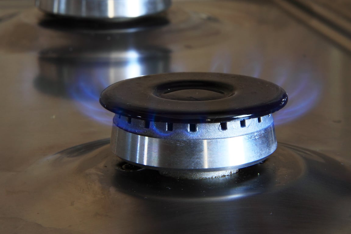 Coleman two burner camp stove