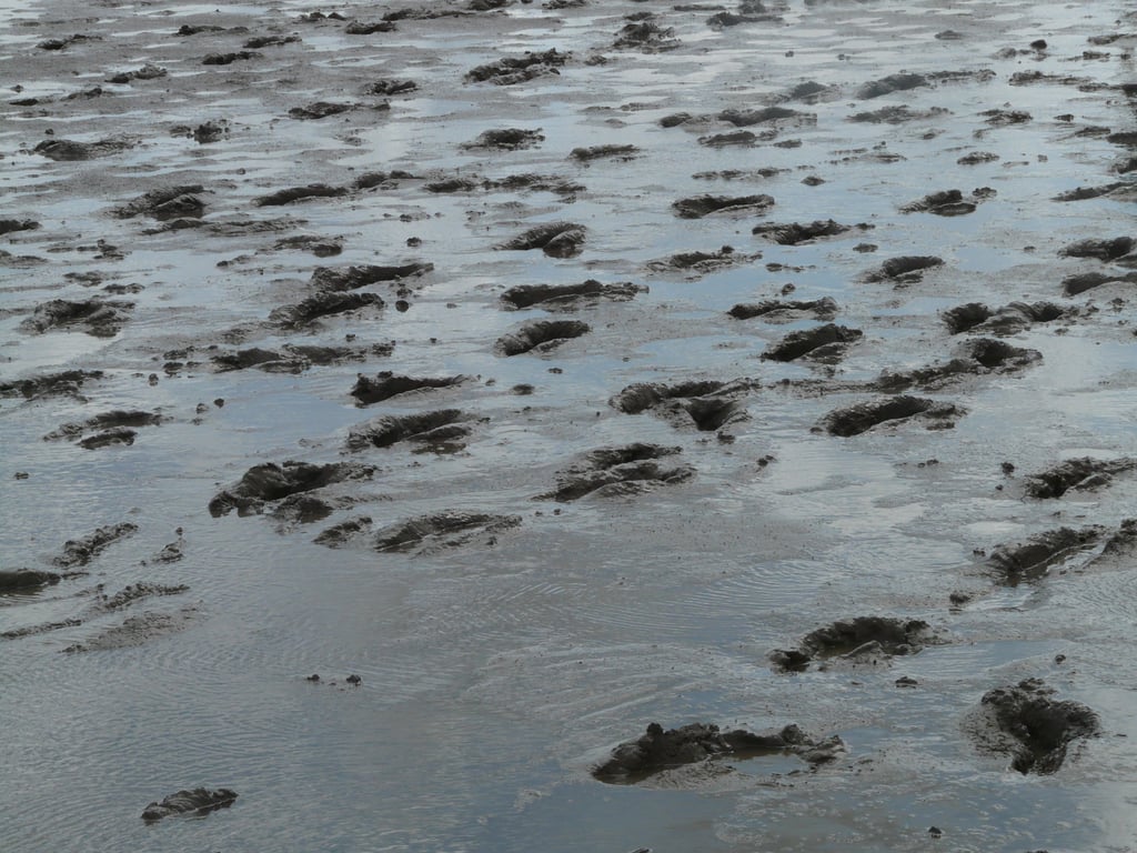 motorhome stuck in mud