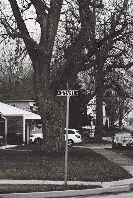 Image describing How to Get State Grants in 2026 7 Proven Steps