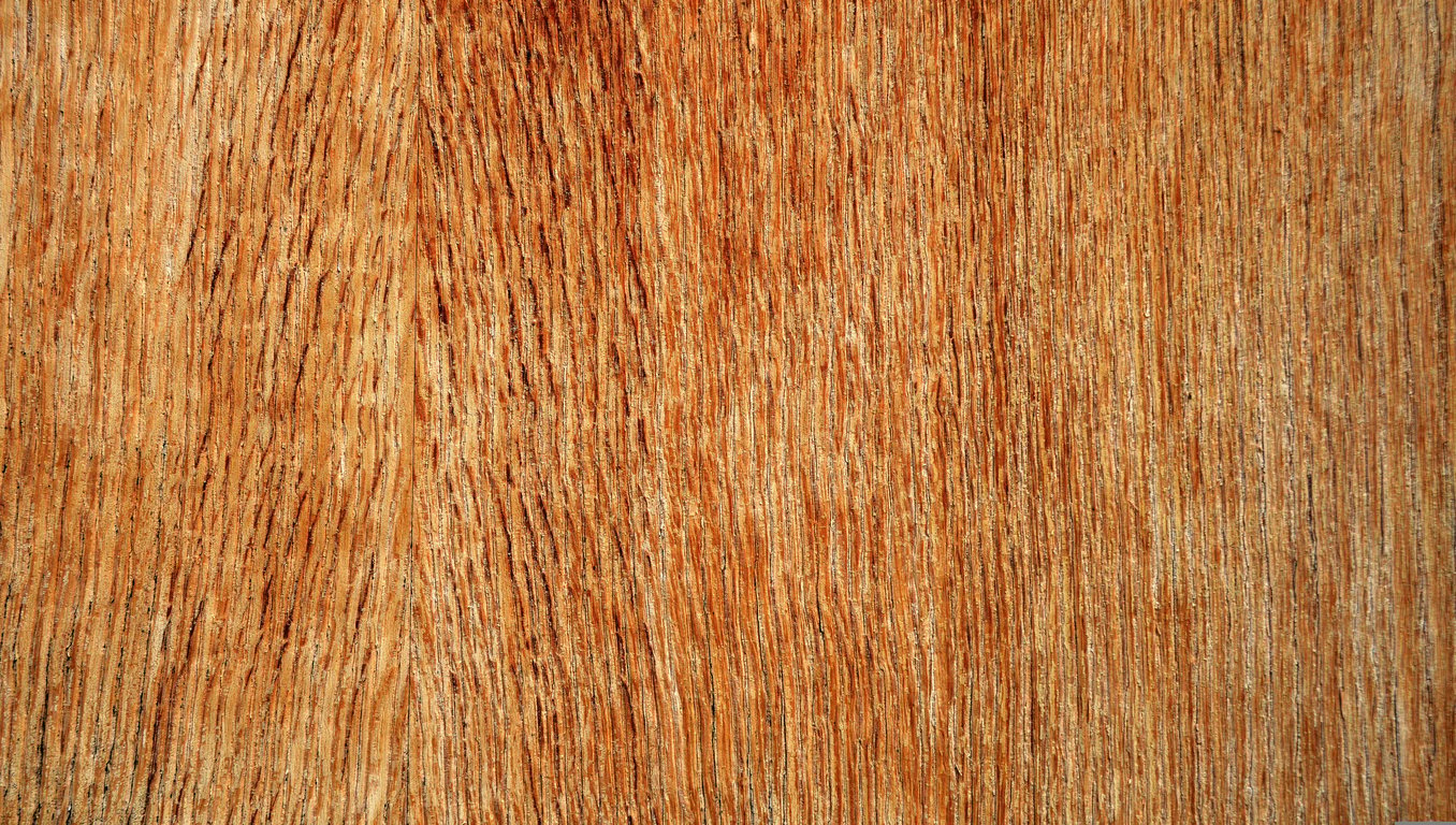 emergency plywood window cover