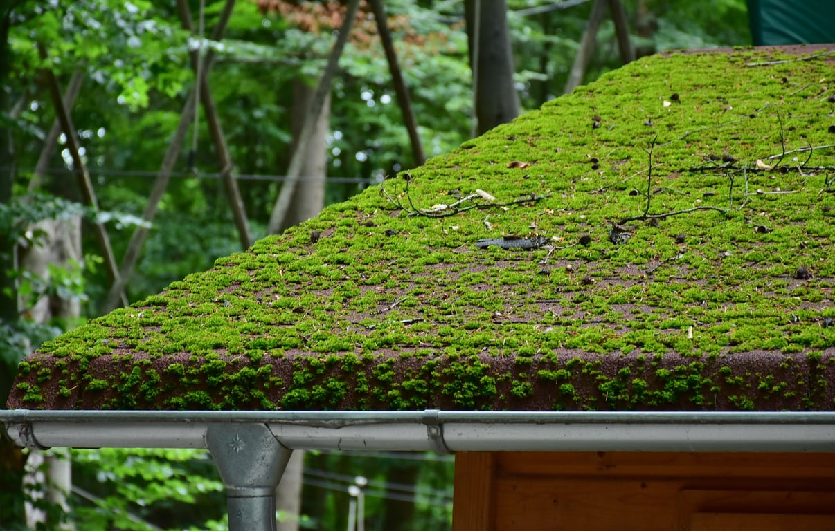 roofing contractor inspecting roof