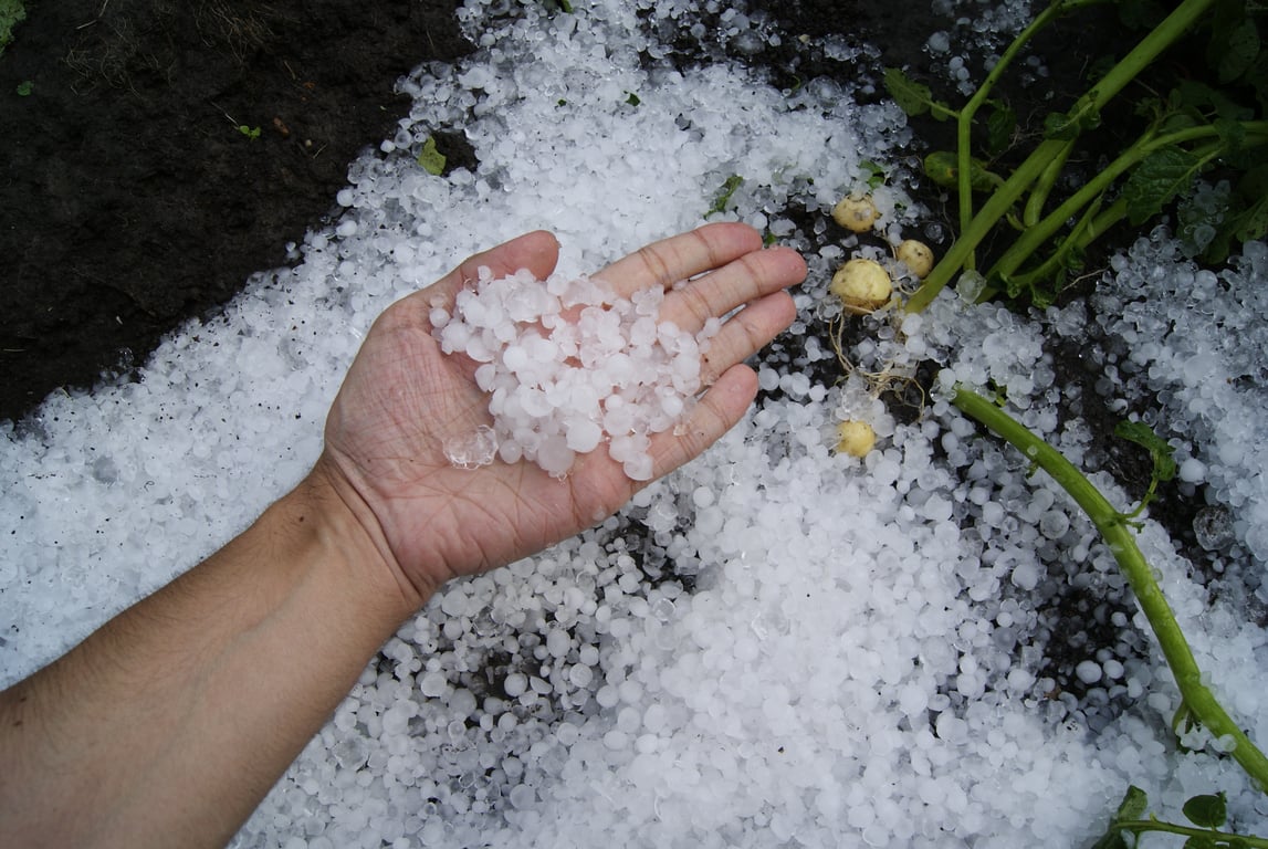hail damaged roof
