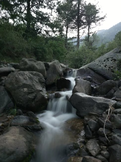 Image describing How to Stream on Twitch Mobile Like a Pro in 2025!