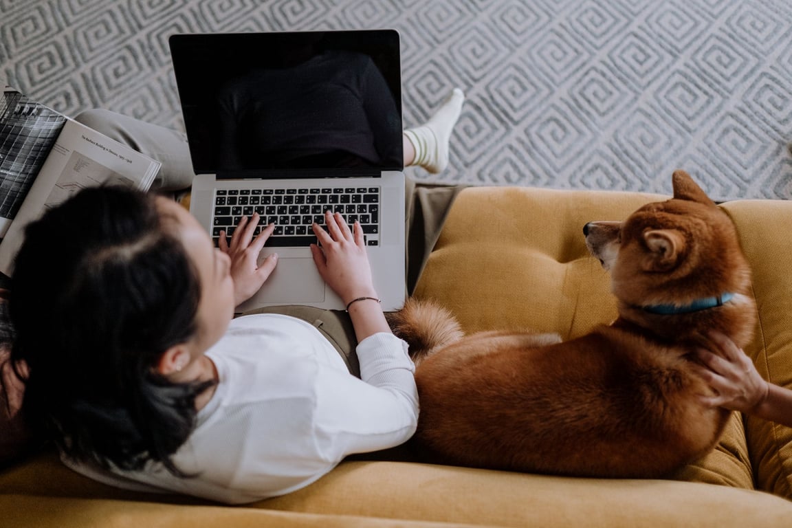 Pet Health Insurance: How to Compare Coverage, Costs, and Exclusions