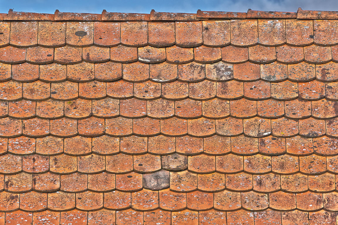 roof inspection