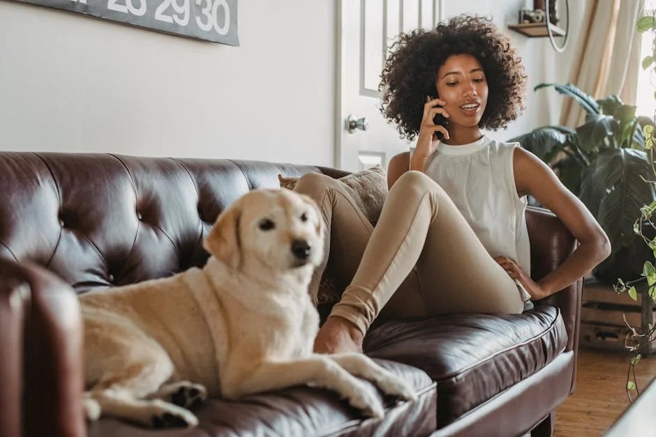 Image describing 10 Best Tips for First-Time Homeowners in 2025!