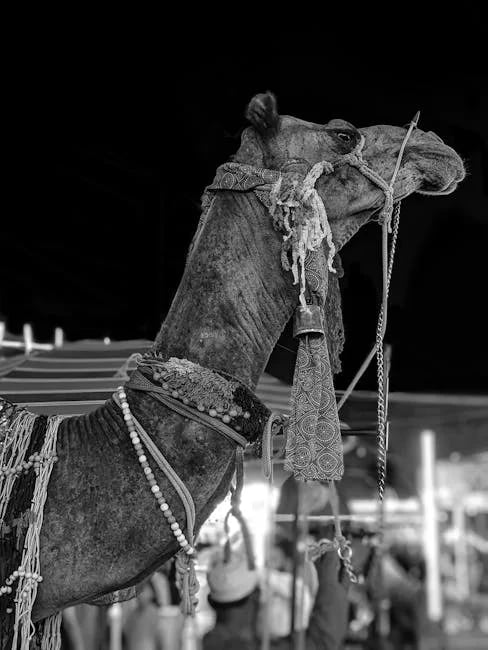 Image describing How Reddits NFT Marketplace Will Change the Game in 2025