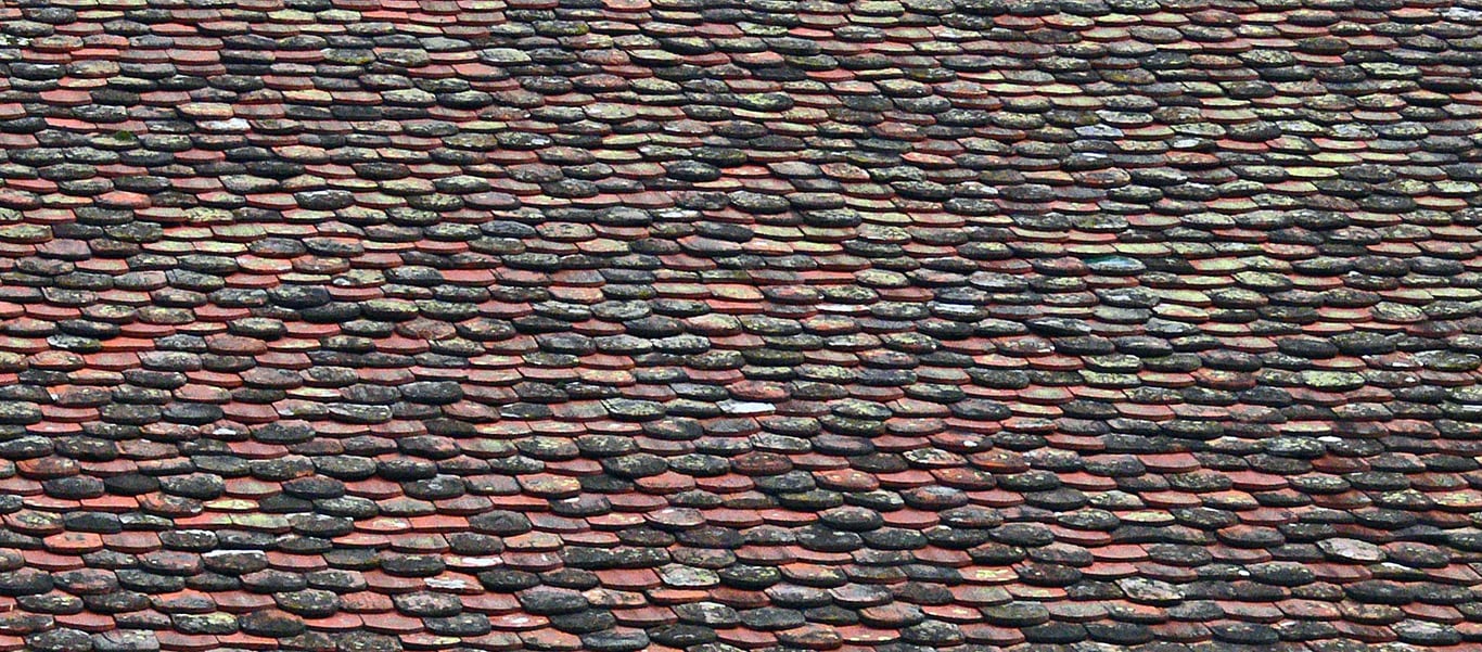 roof replacement shingles