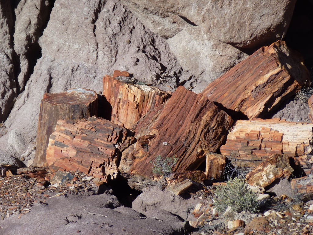 Painted Desert Petrified Forest National Park