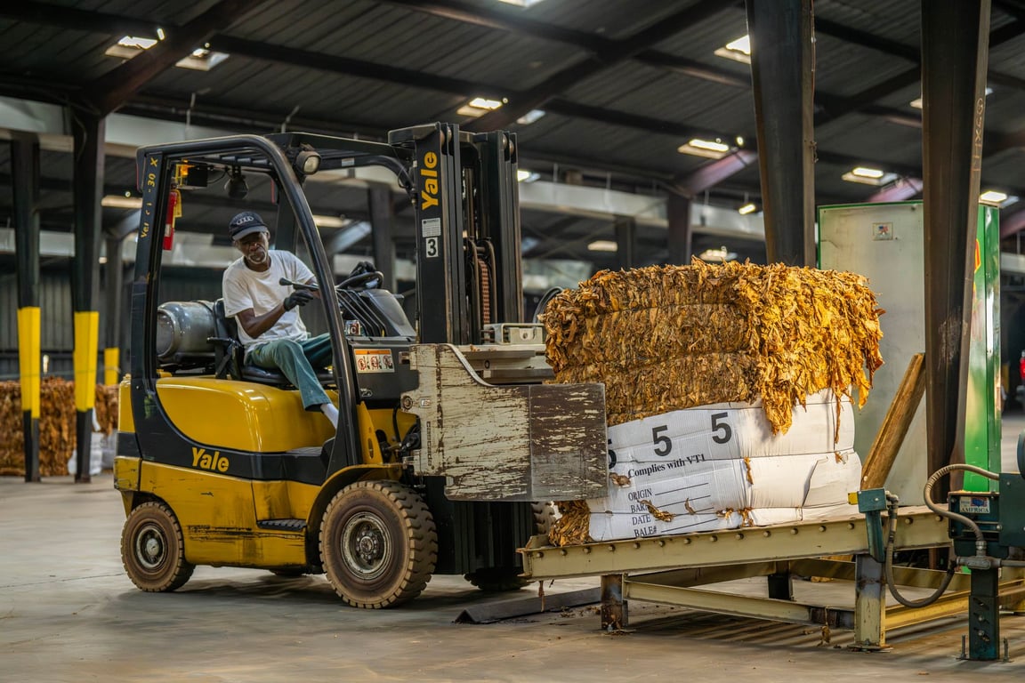 Average Warehousing Costs: What Drives Your Storage and Operating Budget