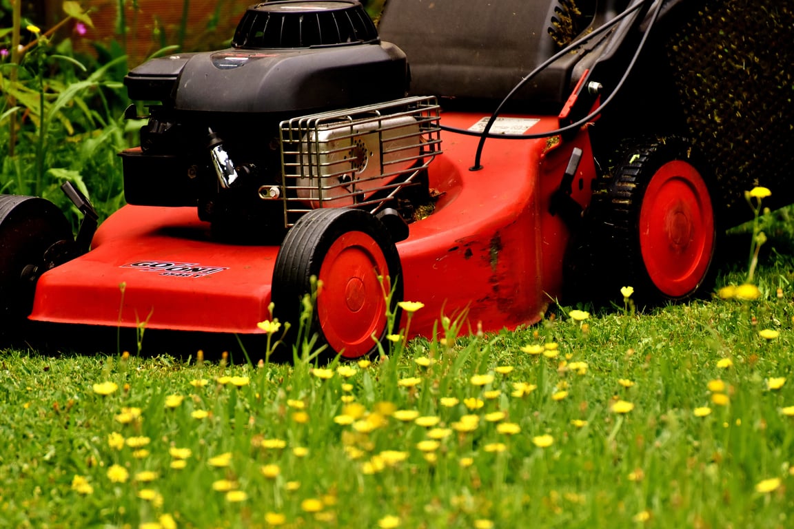 lawn mowing service
