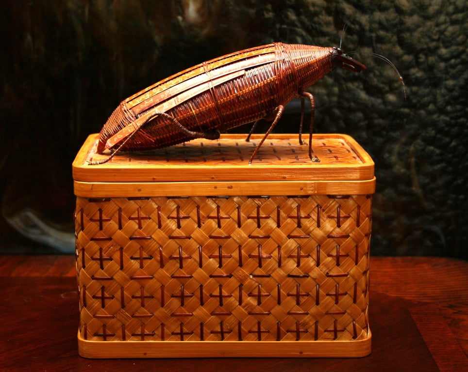 cockroach exterminator kitchen inspection