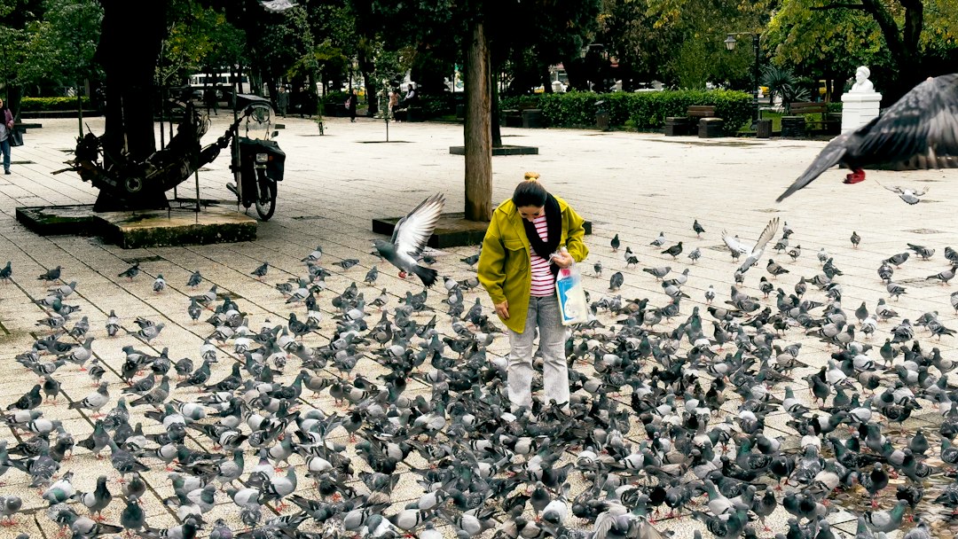 Bird Control Services: Humane Prevention for Cleaner, Safer Properties