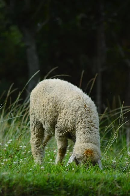 Image describing How to Get the Best Deal on 12 Months of PlayStation Plus