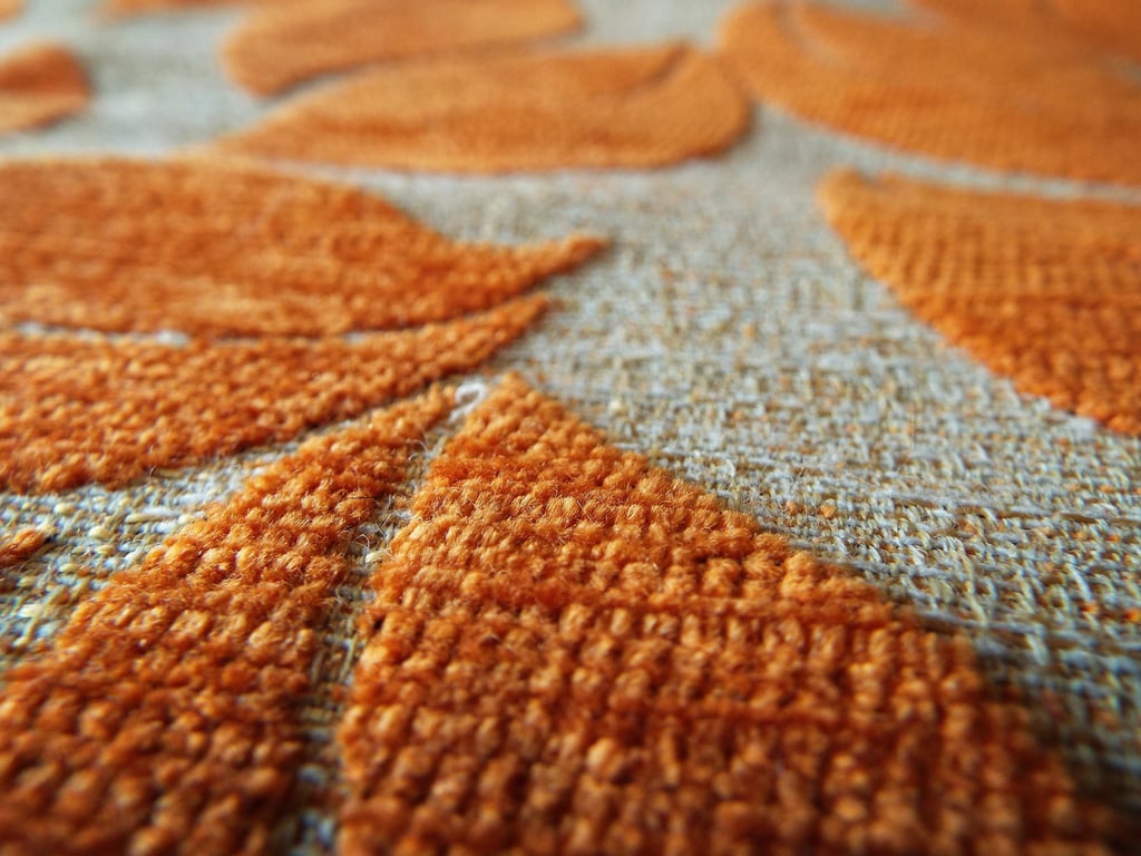 professional carpet cleaning