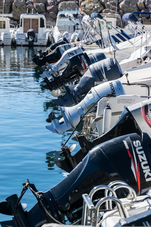Mercury outboard motor