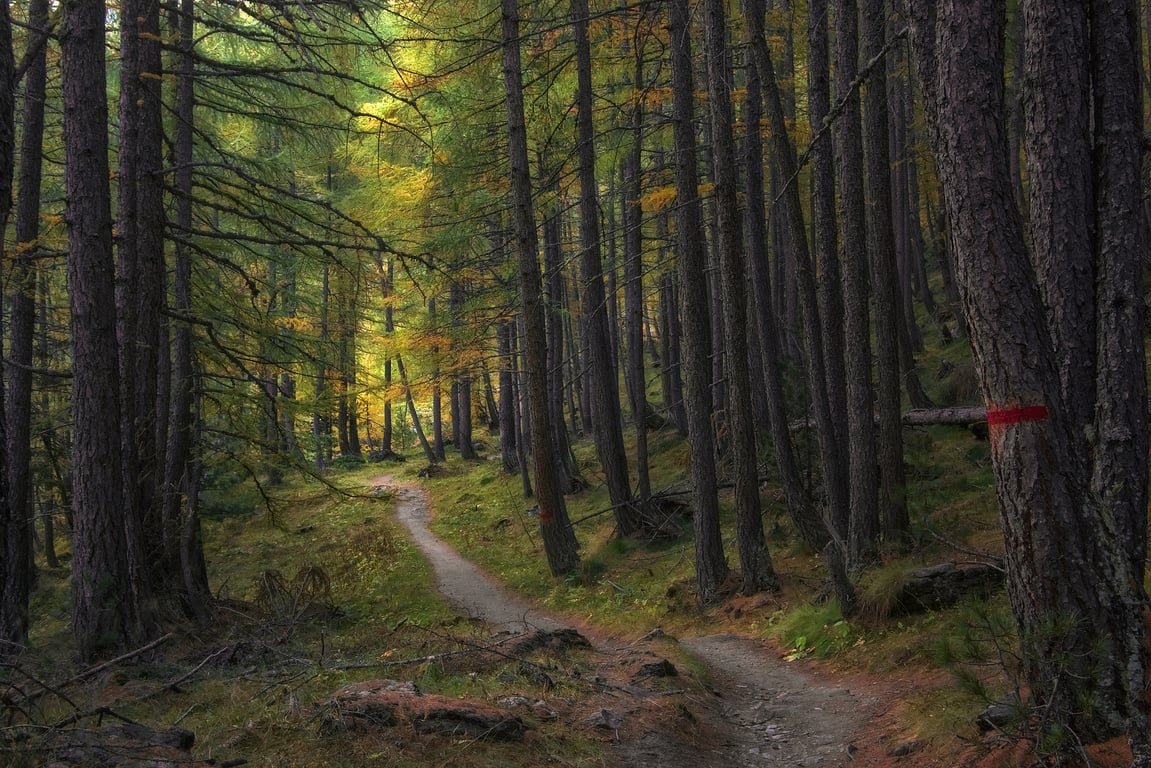 Ozark Trail campsite