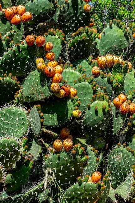 Image describing Top 5 Ways to Maximize Flat Fee MLS in 2025!