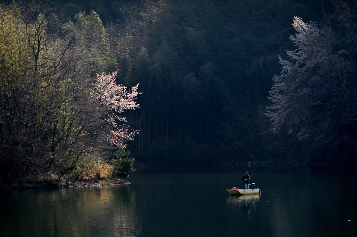 freshwater fishing tackle