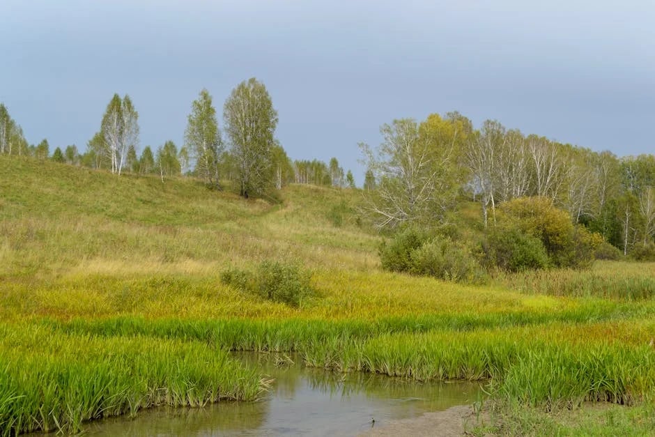 Image describing Top 7 Free Scholarships Guaranteed for 2025 Success!